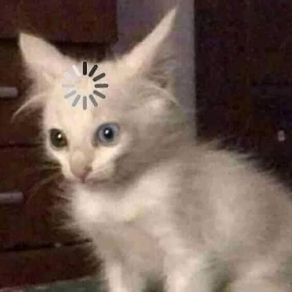 Meet your Posher, Bee